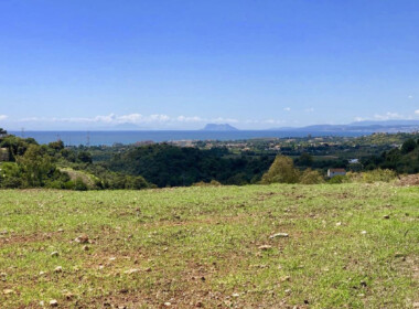 R2564930-property-image-12