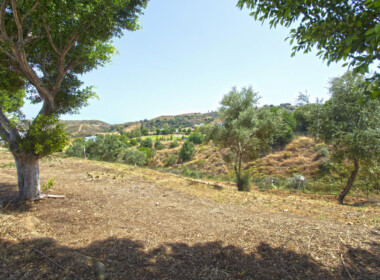 R3893734-property-image-1