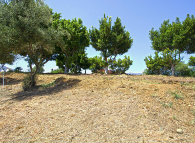 R3893734-property-image-2