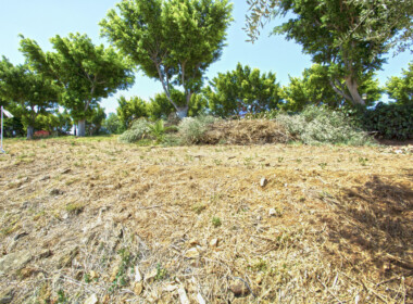 R3893878-property-image-2