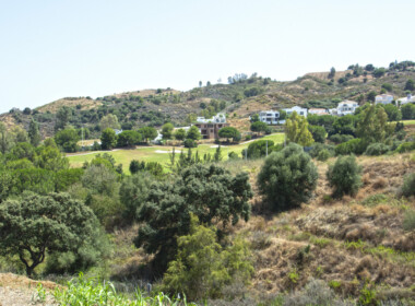 R3893896-property-image-1