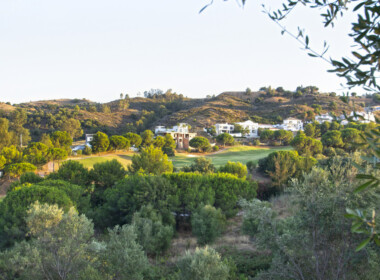 R3893896-property-image-12
