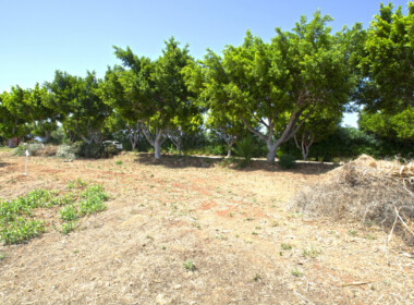 R3893896-property-image-2