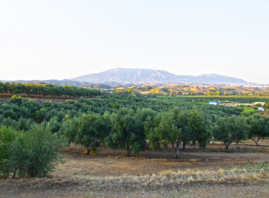 R3893896-property-image-3