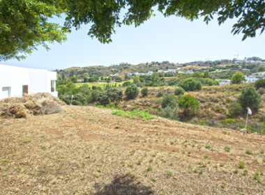 R3893896-property-image
