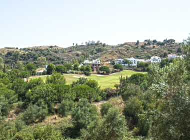R3893908-property-image-1