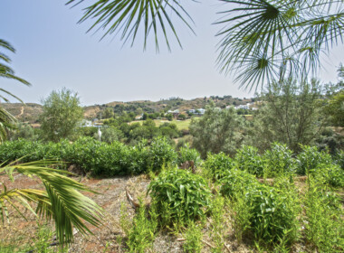 R3893908-property-image-2