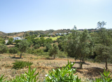R3893908-property-image