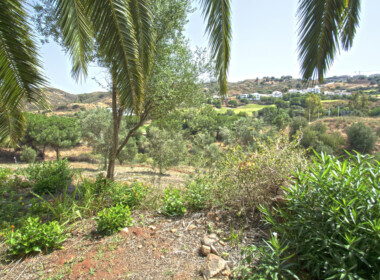 R3893911-property-image-1