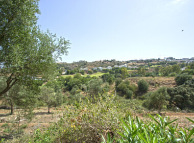 R3893911-property-image-2
