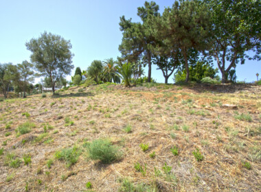 R3893935-property-image-1