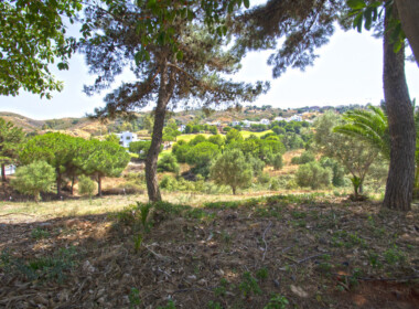 R3893935-property-image-2