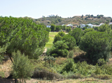 R3893941-property-image-1
