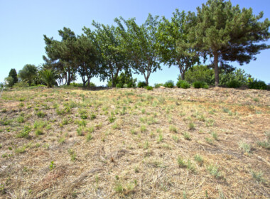 R3893941-property-image-2