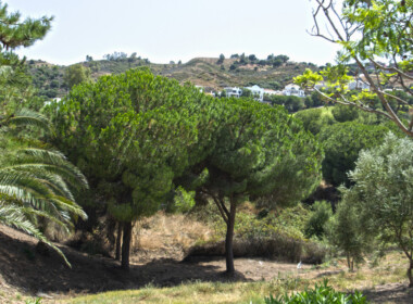 R3893947-property-image-1