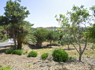 R3893947-property-image-2