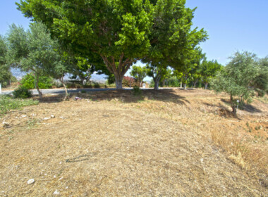 R3895927-property-image-2