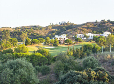R3895933-property-image-13