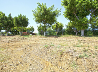 R3895933-property-image-2