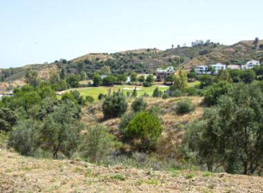 R3895933-property-image